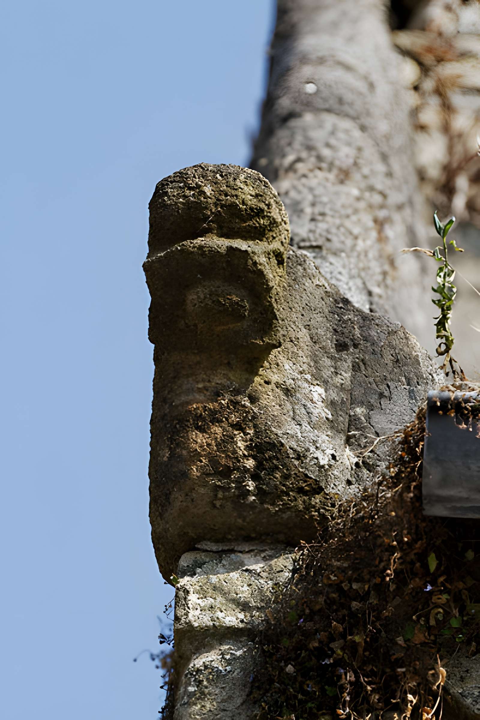 Maison Gérard à Saint-Renan