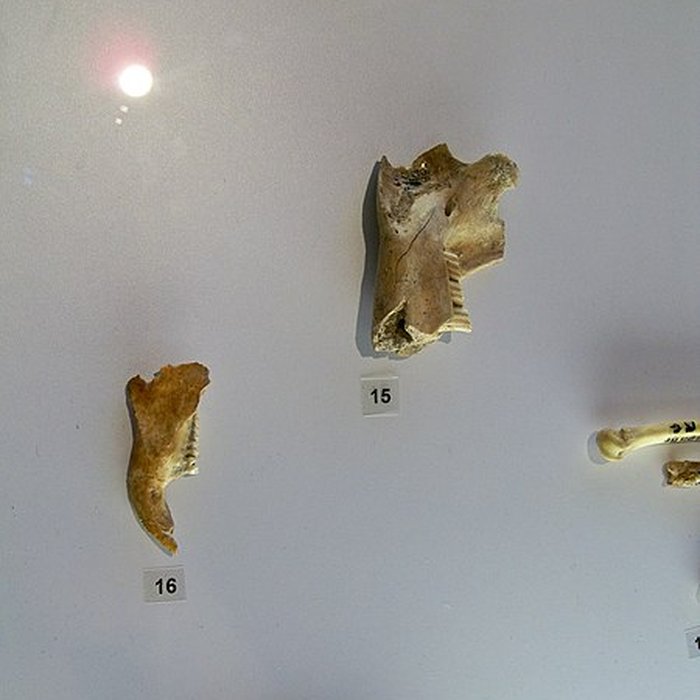 Photo de Grotte de la Baume Bonne à Quinson