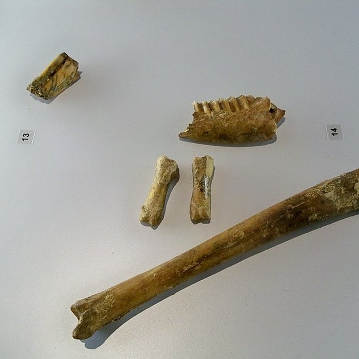 Photo de Grotte de la Baume Bonne à Quinson