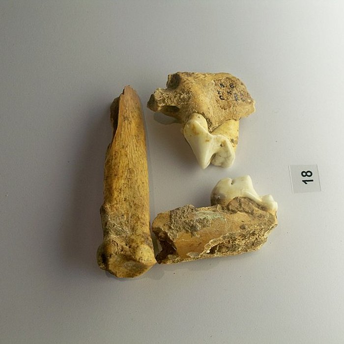 Photo de Grotte de la Baume Bonne à Quinson