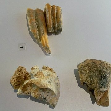 Grotte de la Baume Bonne à Quinson