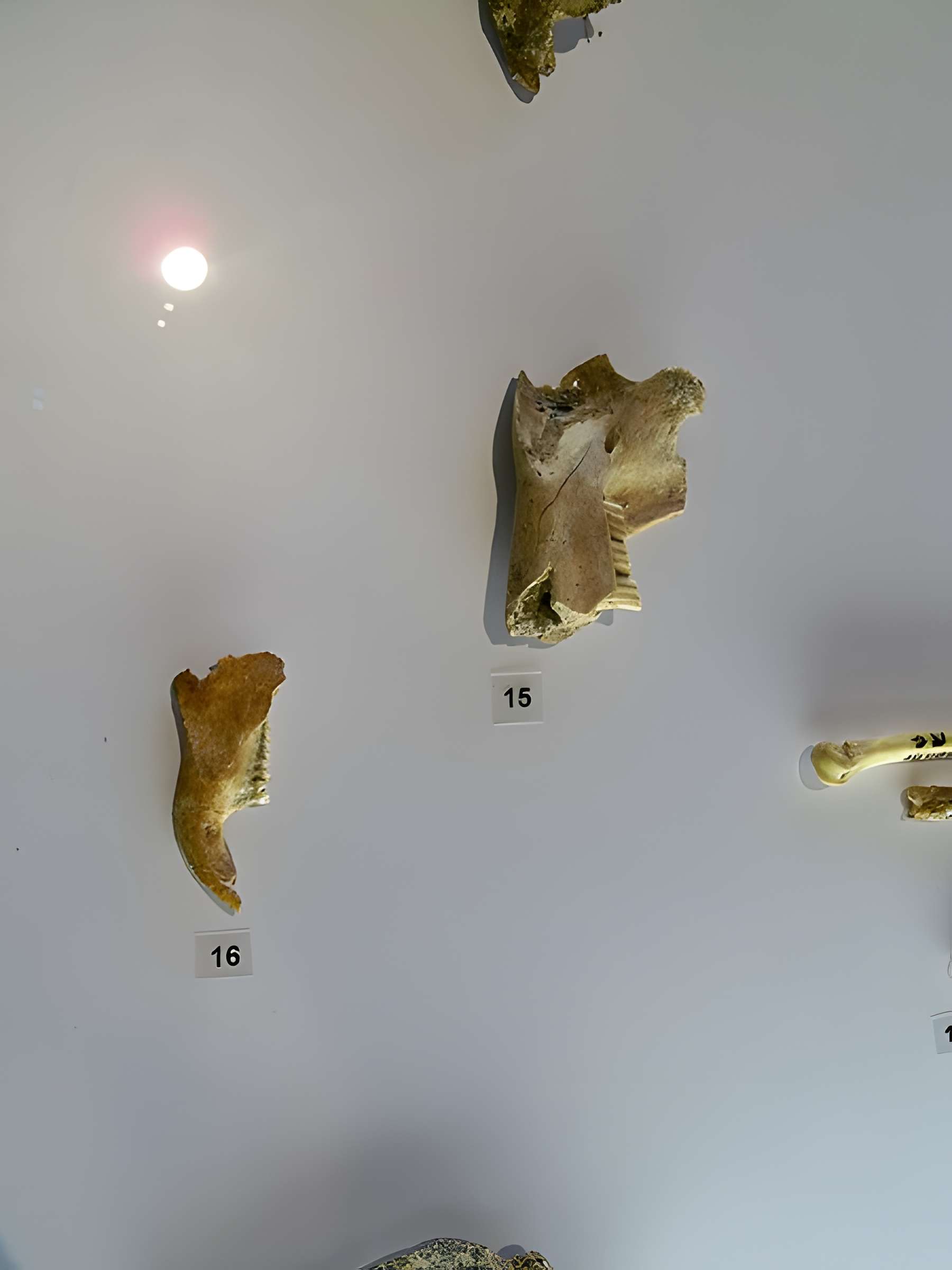 Grotte de la Baume Bonne à Quinson