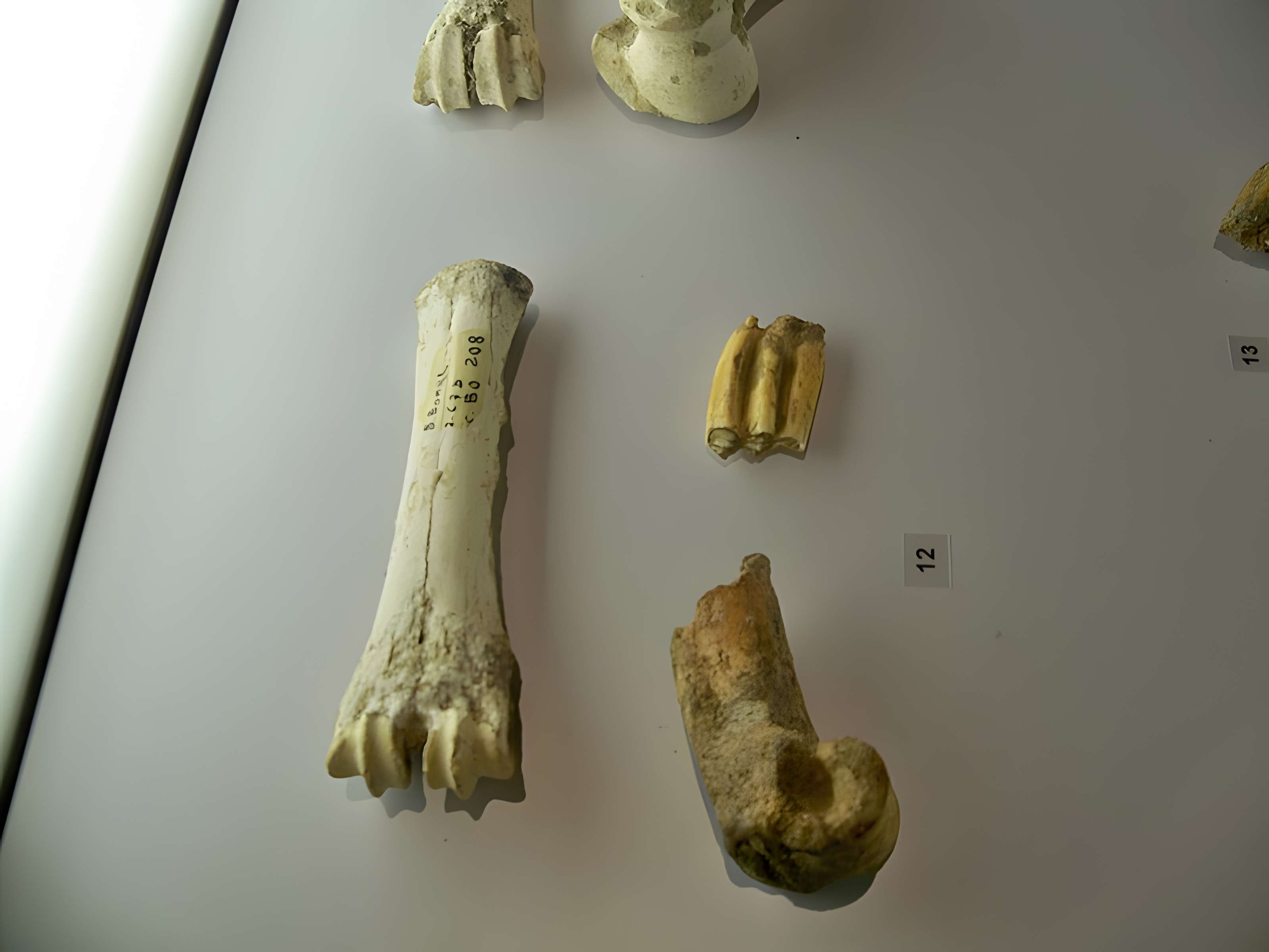 Grotte de la Baume Bonne à Quinson