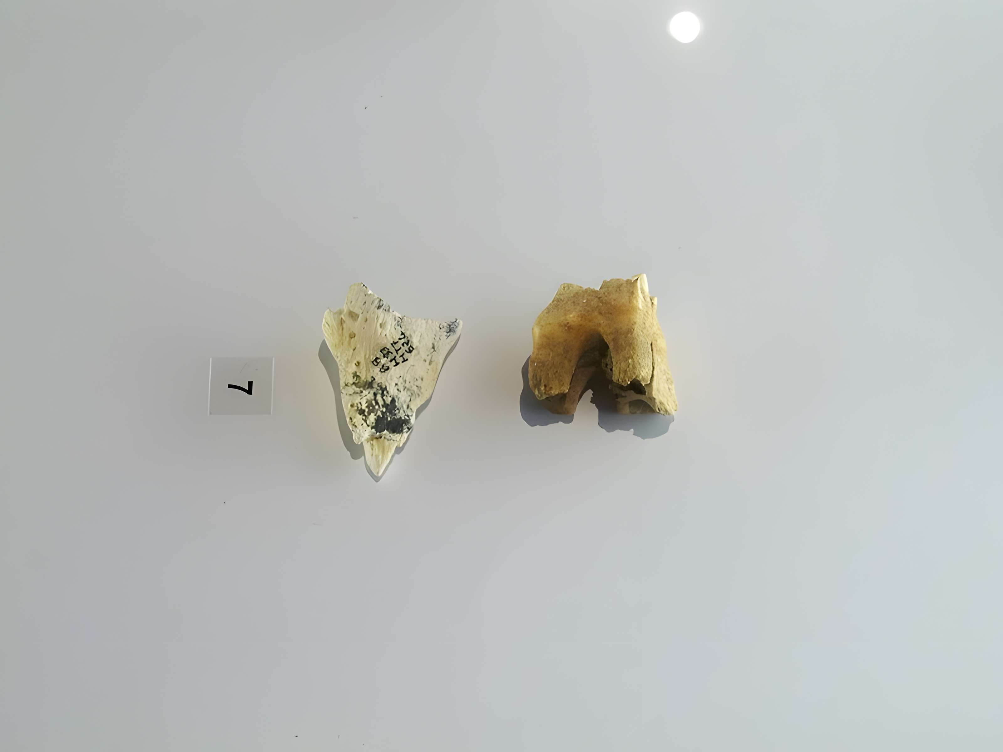 Grotte de la Baume Bonne à Quinson