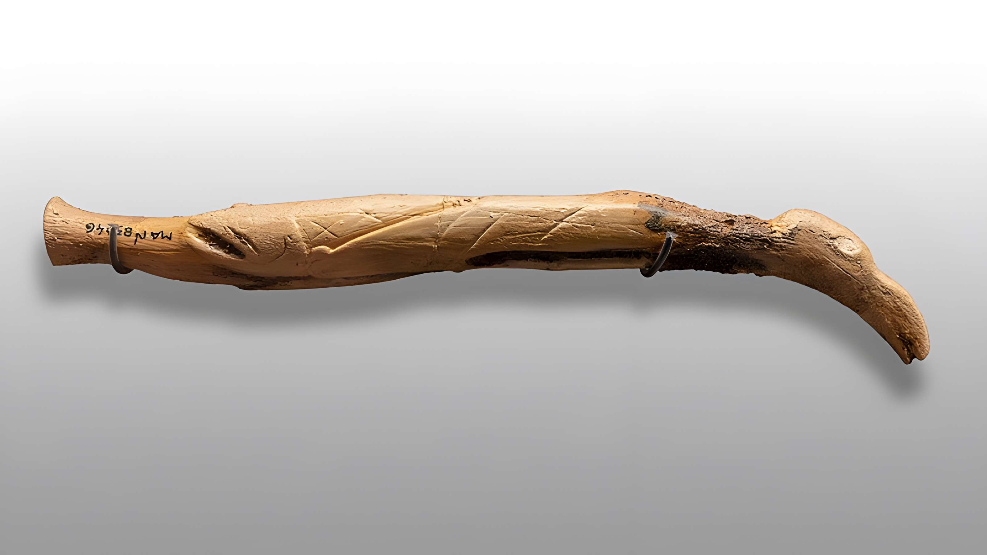 Grotte de la Vache à Alliat