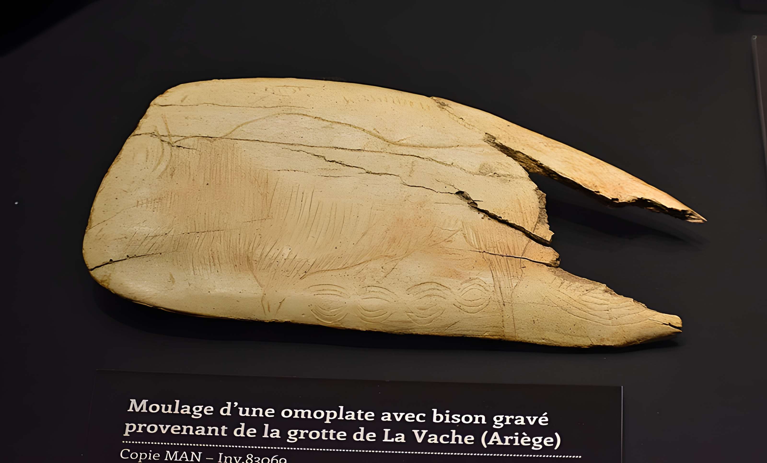 Grotte de la Vache à Alliat