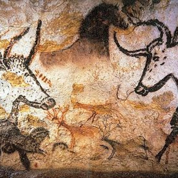 Photo de Visite de la Grotte de Lascaux
