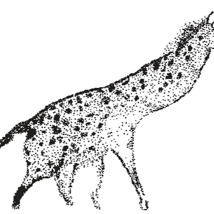 Photo de Visite de la Grotte de Lascaux