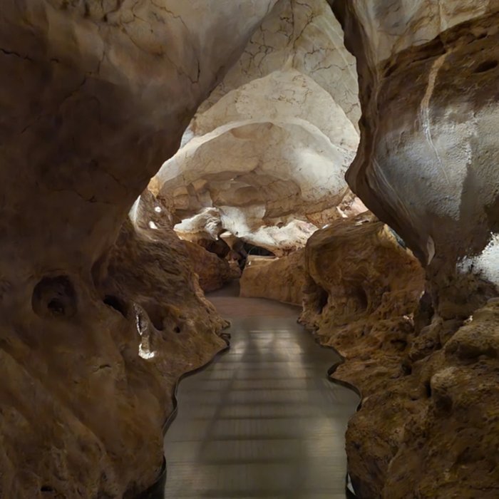 Photo de Visite de la Grotte de Lascaux