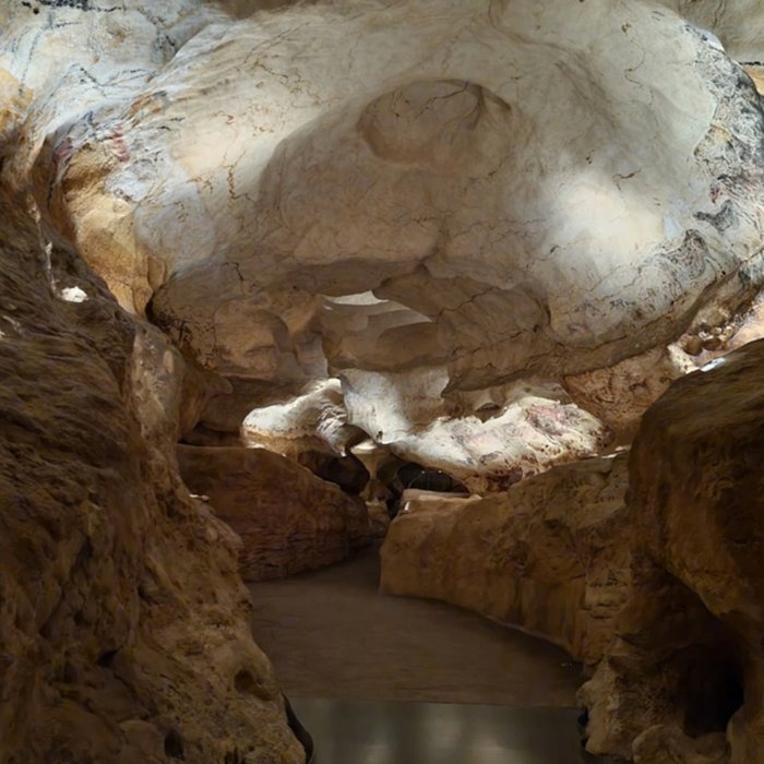 Photo de Visite de la Grotte de Lascaux