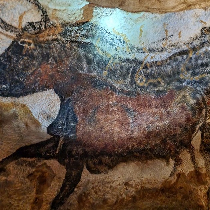 Photo de Visite de la Grotte de Lascaux