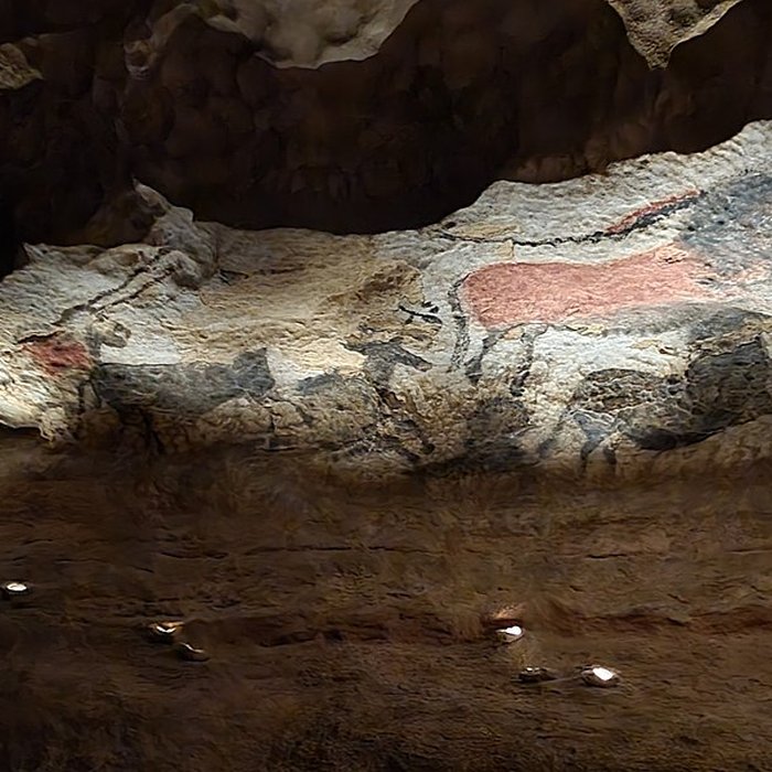 Photo de Visite de la Grotte de Lascaux