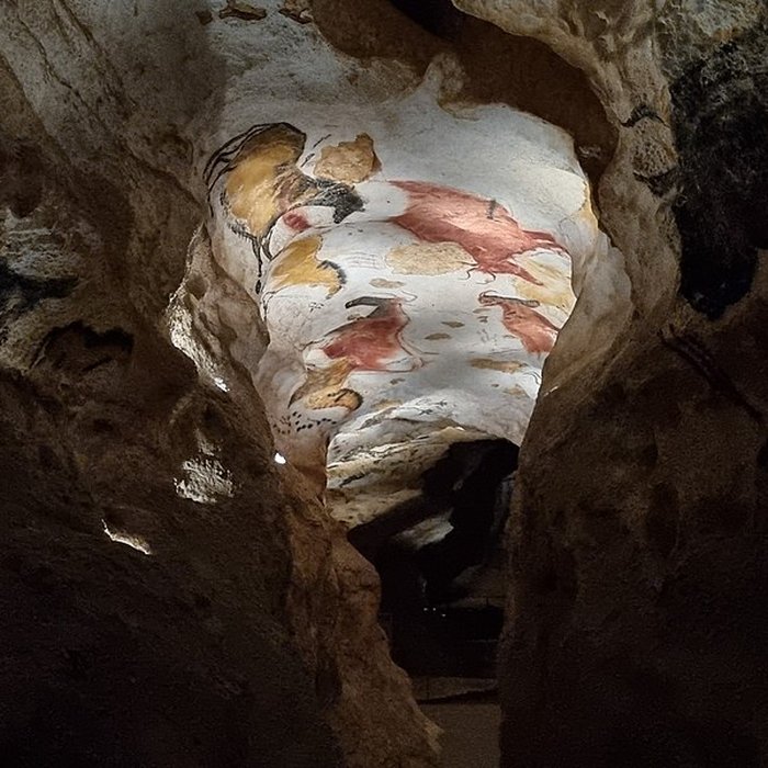 Photo de Visite de la Grotte de Lascaux
