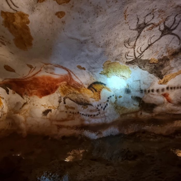 Photo de Visite de la Grotte de Lascaux
