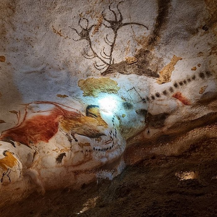 Photo de Visite de la Grotte de Lascaux
