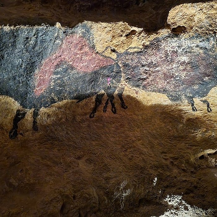 Photo de Visite de la Grotte de Lascaux