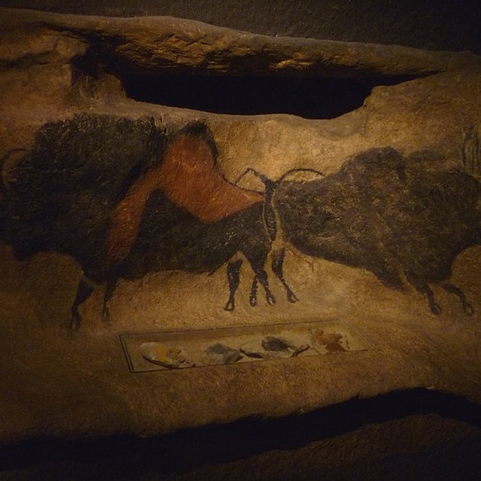 Photo de Visite de la Grotte de Lascaux