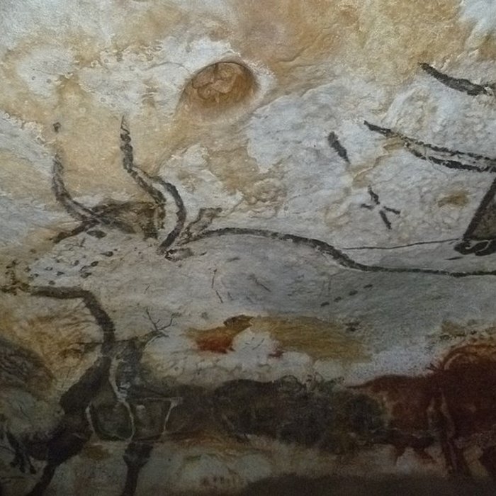 Photo de Visite de la Grotte de Lascaux