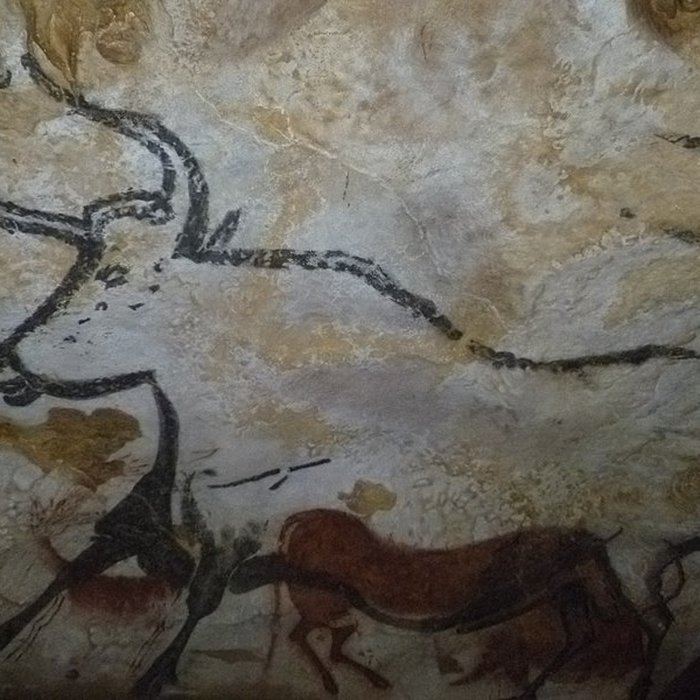 Photo de Visite de la Grotte de Lascaux