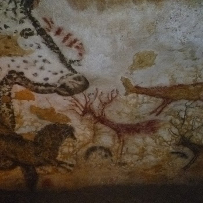 Photo de Visite de la Grotte de Lascaux