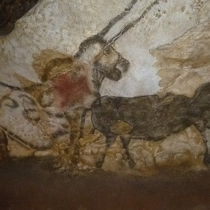 Photo de Visite de la Grotte de Lascaux