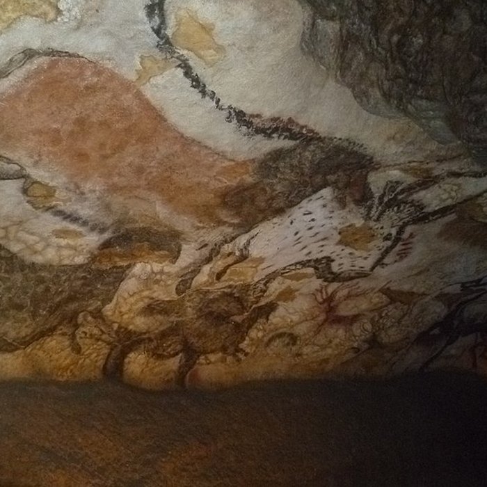 Photo de Visite de la Grotte de Lascaux