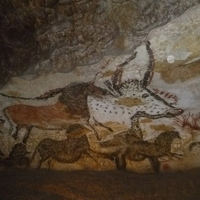 Photo de Visite de la Grotte de Lascaux