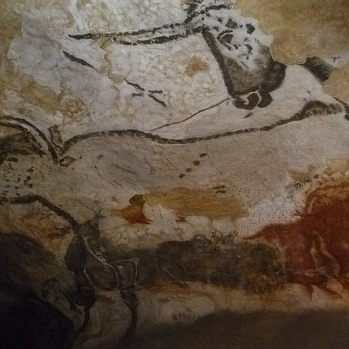 Photo de Visite de la Grotte de Lascaux