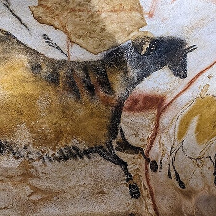 Photo de Visite de la Grotte de Lascaux