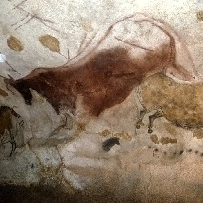 Photo de Visite de la Grotte de Lascaux