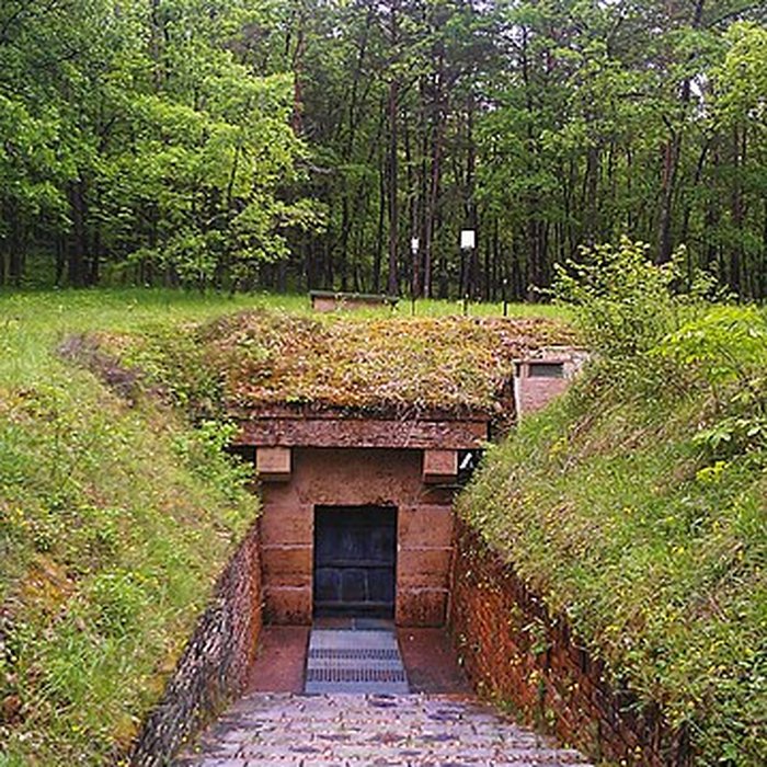 Photo de Visite de la Grotte de Lascaux