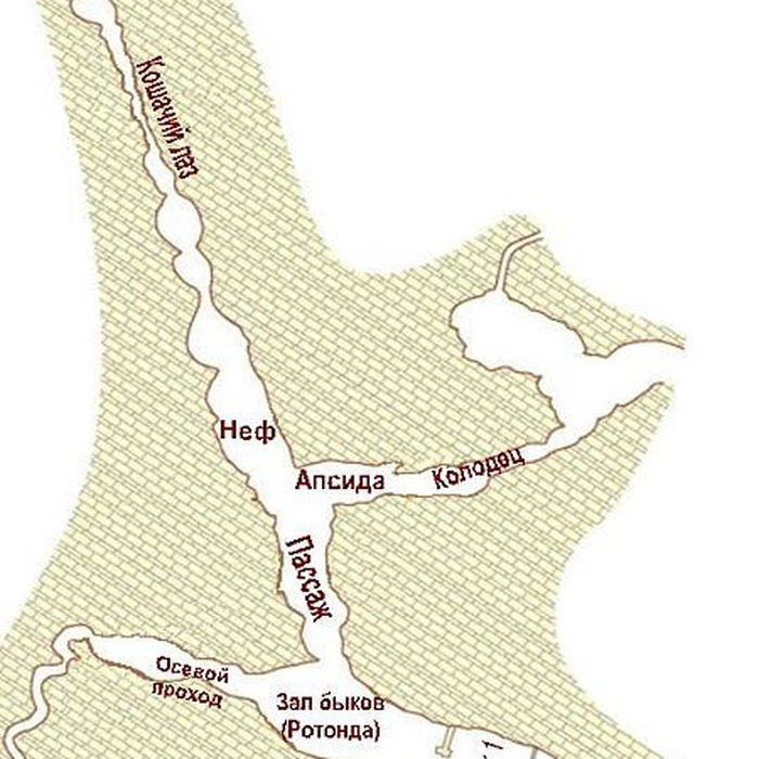 Photo de Visite de la Grotte de Lascaux