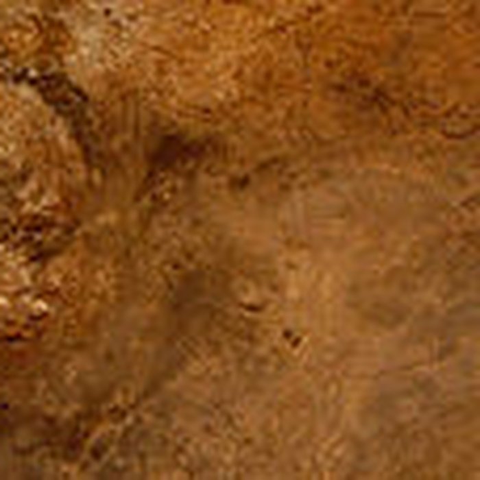 Photo de Visite de la Grotte de Lascaux