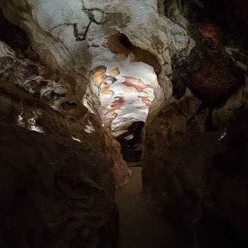Grotte de Lascaux à Montignac