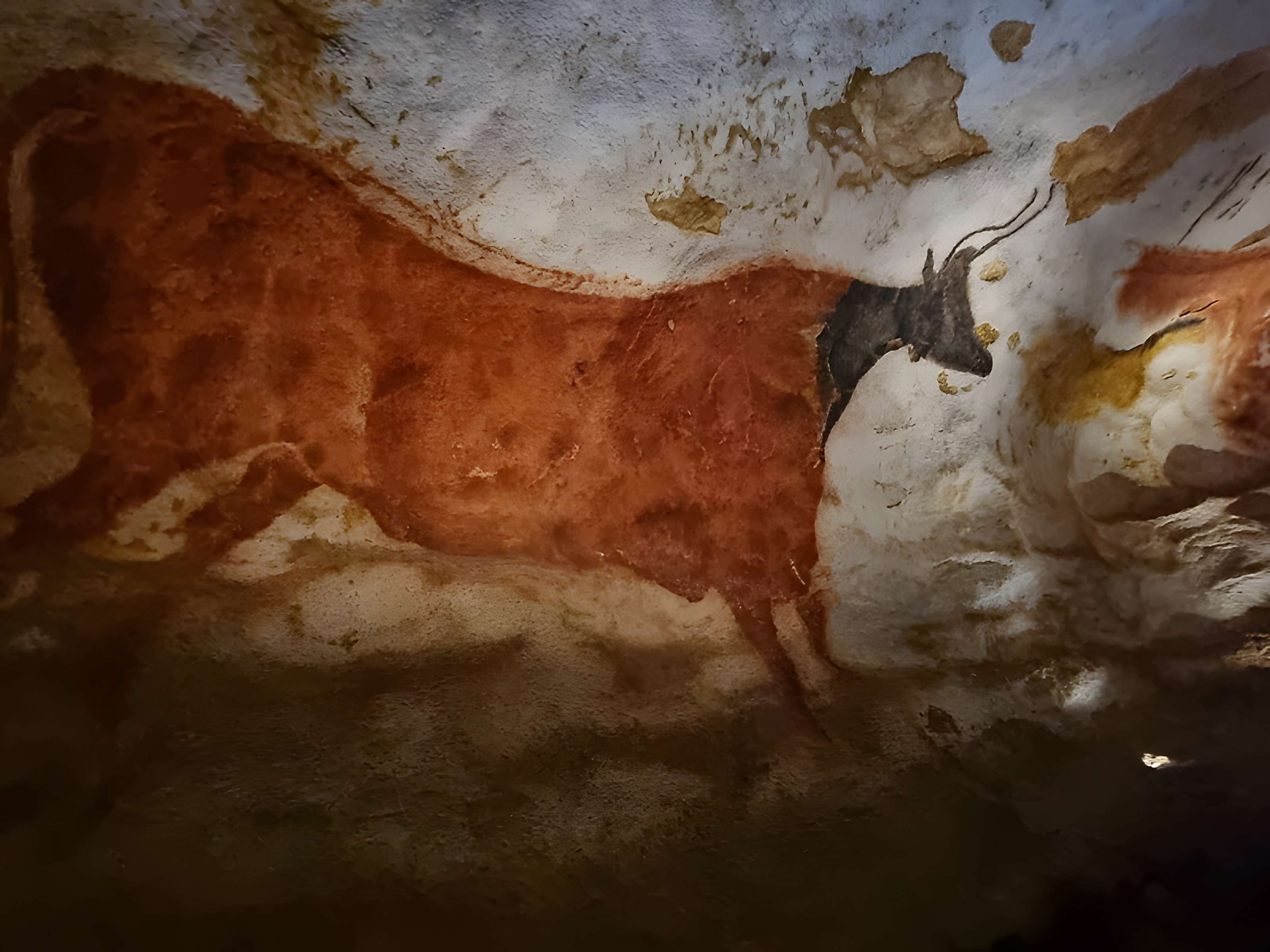 Grotte de Lascaux à Montignac