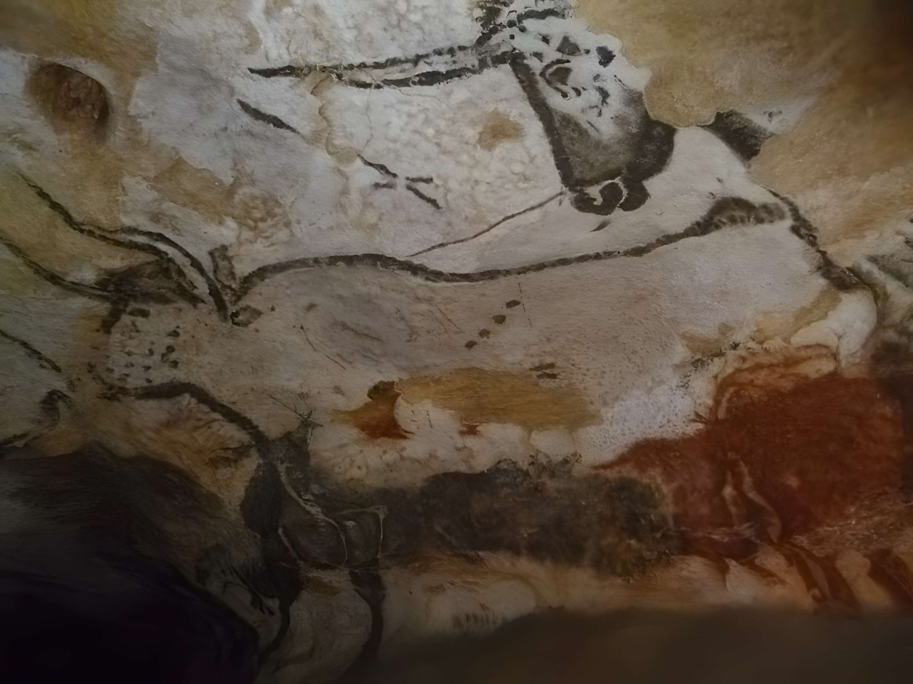 Grotte de Lascaux à Montignac