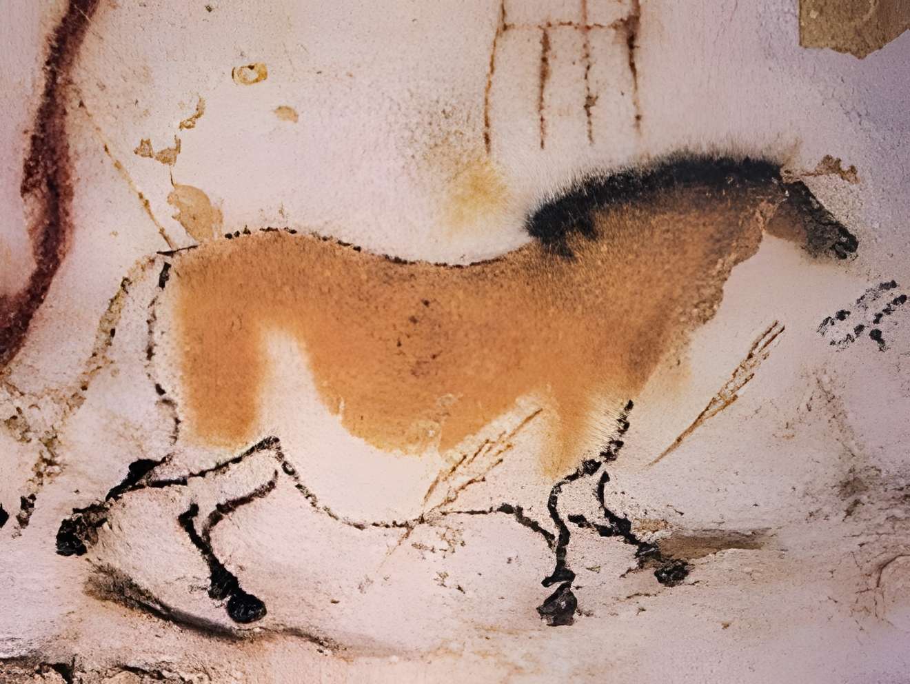 Visite de la Grotte de Lascaux