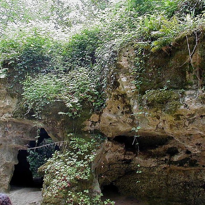 Photo de Grotte de Pair-non-Pair à Prignac-et-Marcamps