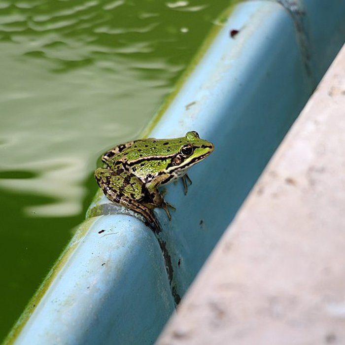 Photo de Maison Louis Carré à Bazoches-sur-Guyonne