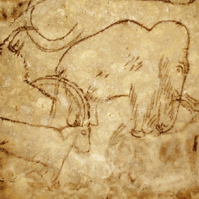 Photo de Grotte de Rouffignac