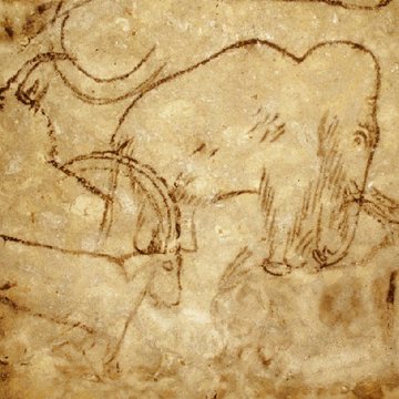 Grotte de Rouffignac