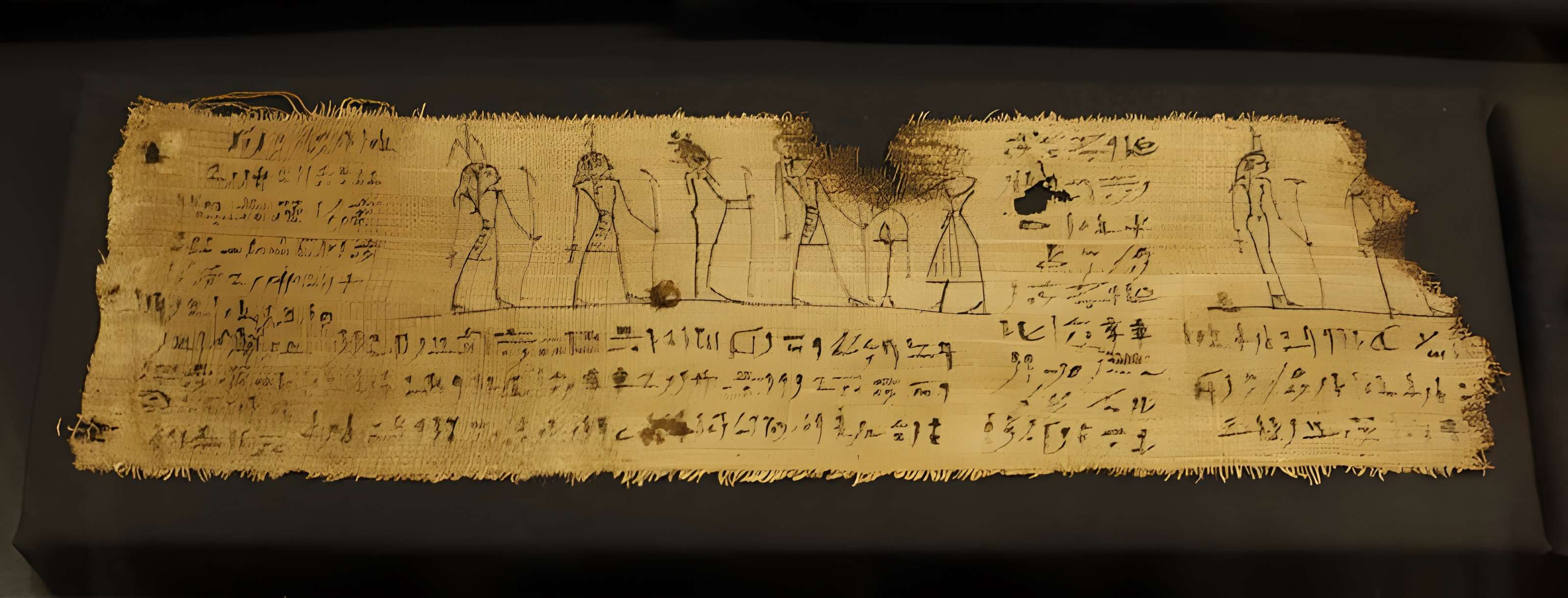 Maison natale de Champollion à Figeac