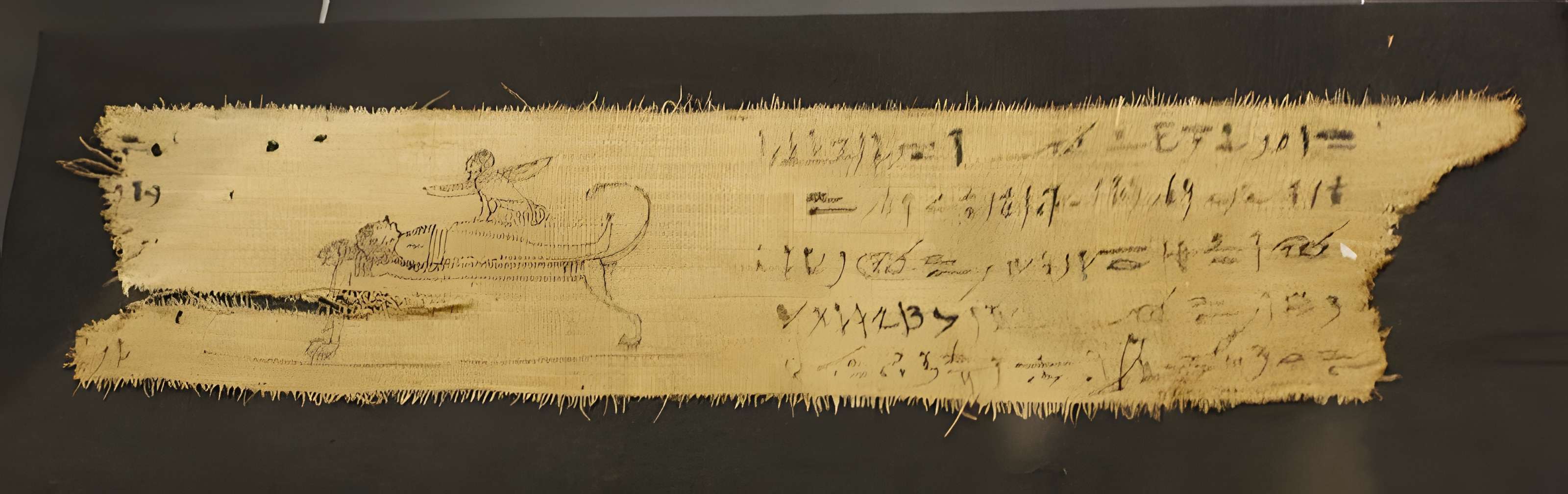 Maison natale de Champollion à Figeac