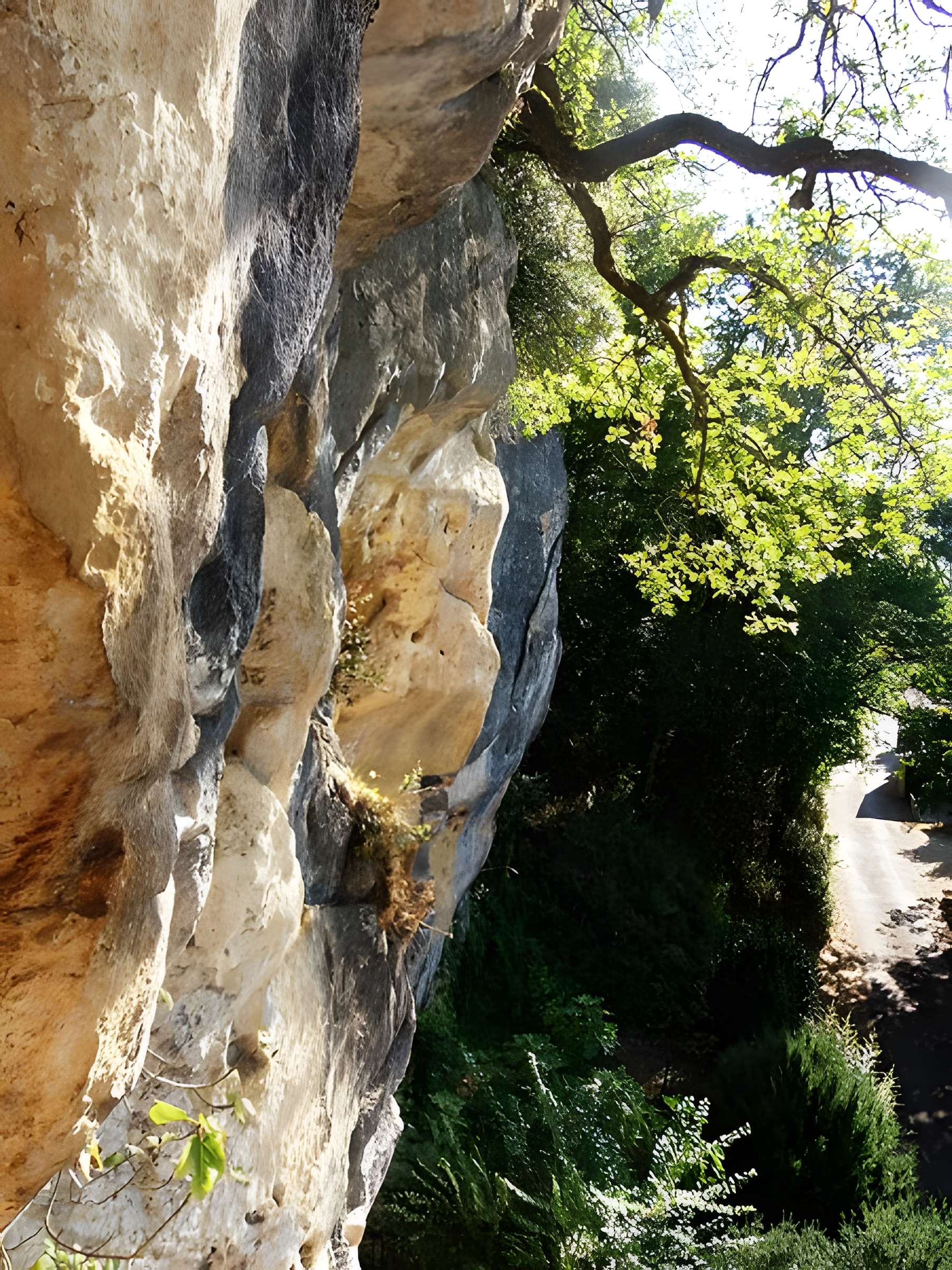 Grotte ornée de gravures prehistoriques, dite aussi Grotte du Sorcier