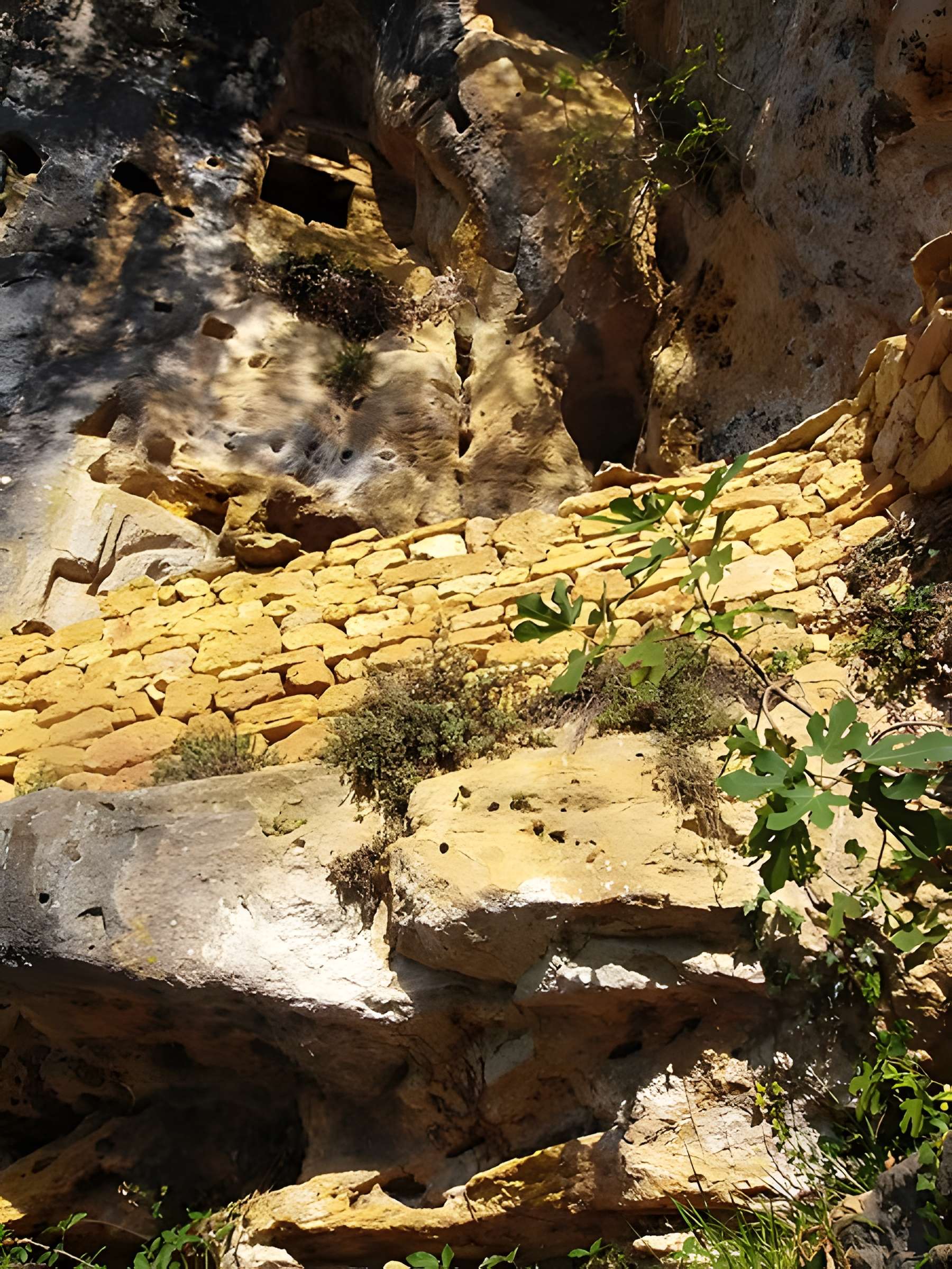 Grotte ornée de gravures prehistoriques, dite aussi Grotte du Sorcier