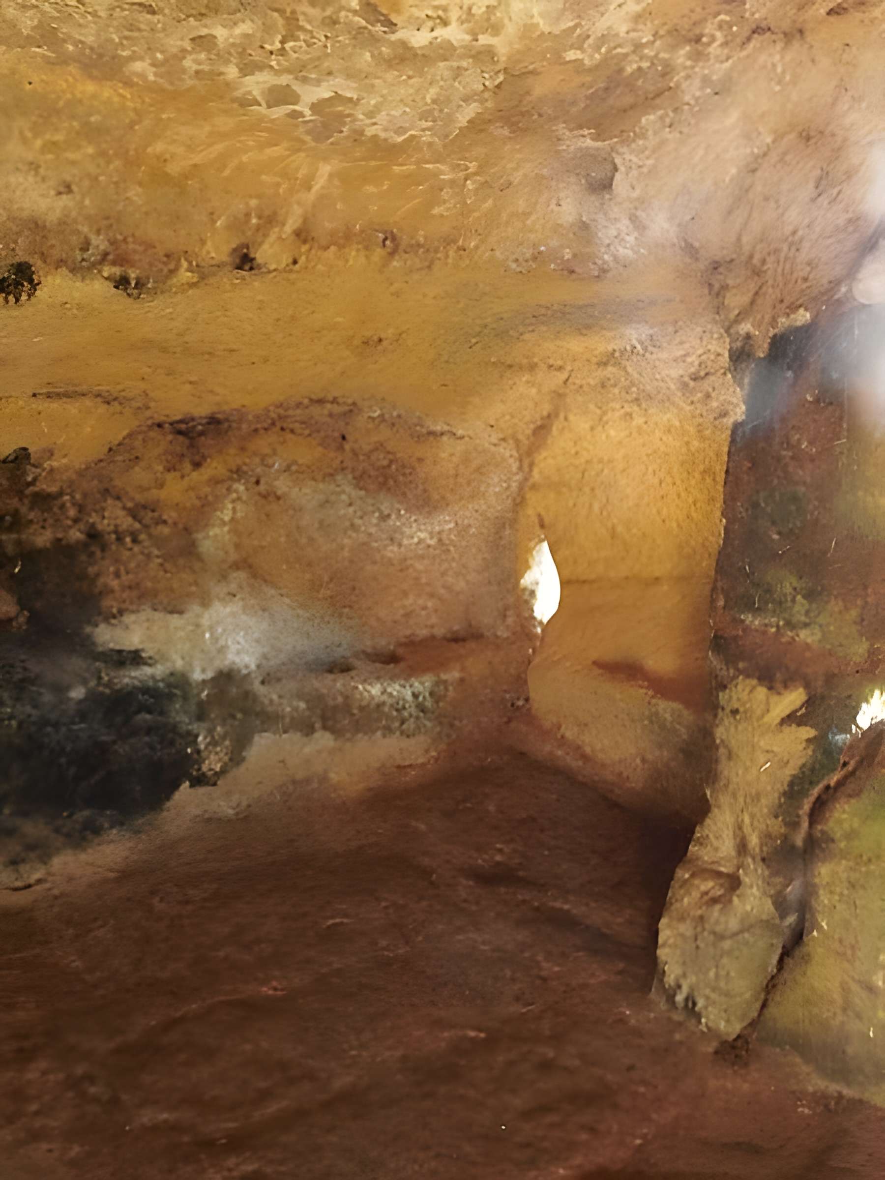 Grotte ornée de gravures prehistoriques, dite aussi Grotte du Sorcier