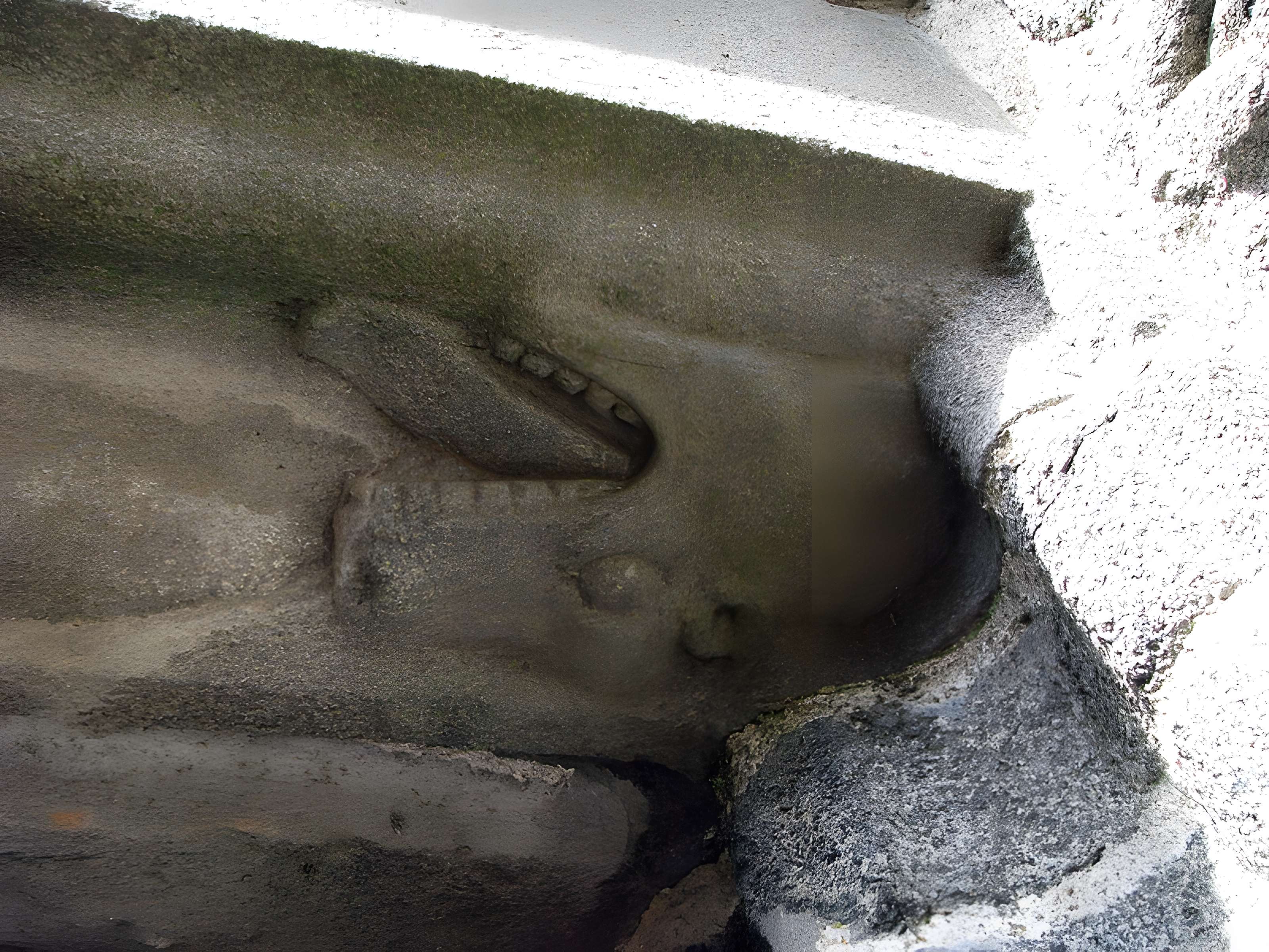 Maison prébendale, 1 Place du Petit-Cloître à Saint-Pol-de-Léon