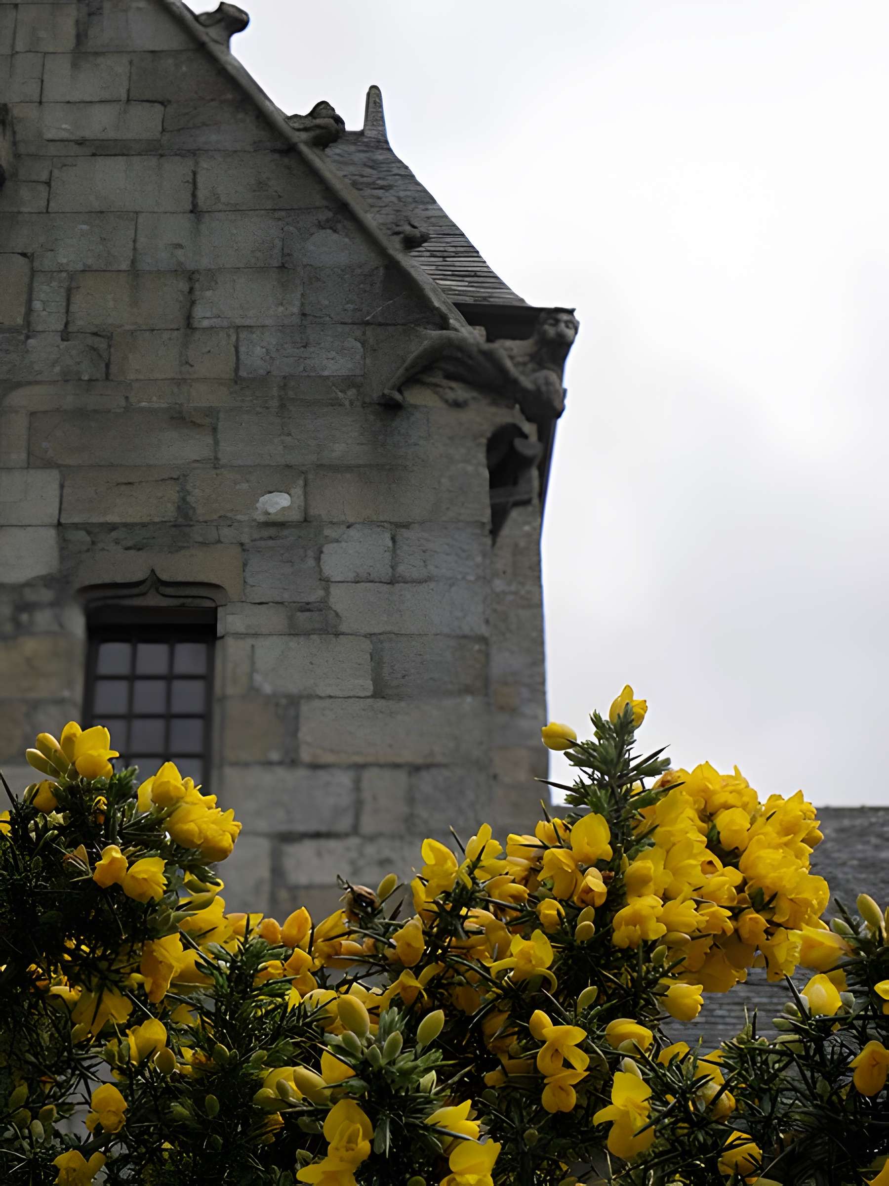 Maison prébendale, 1 Place du Petit-Cloître à Saint-Pol-de-Léon
