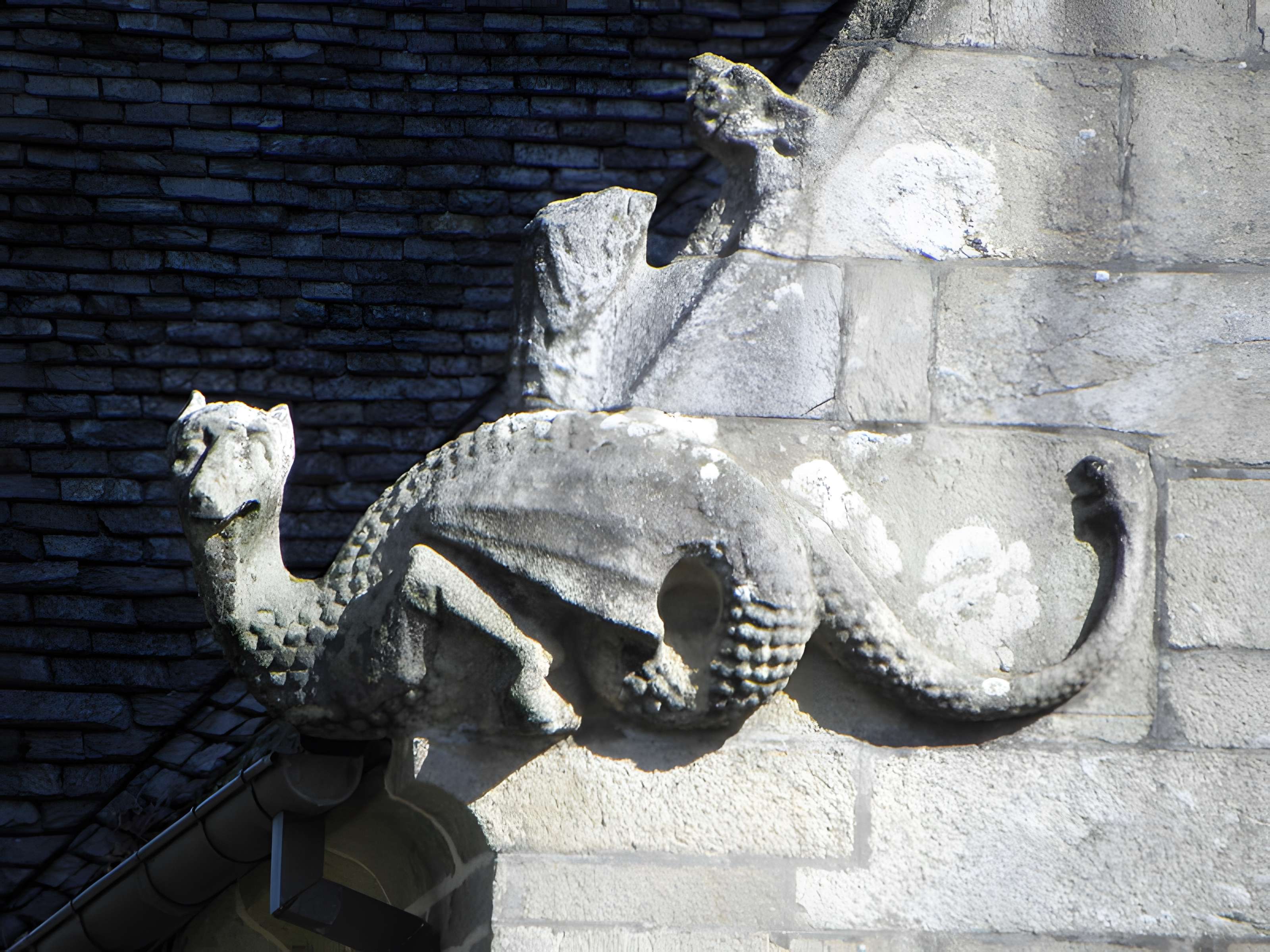 Maison prébendale, 1 Place du Petit-Cloître à Saint-Pol-de-Léon
