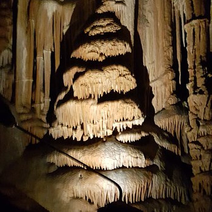 Photo de Grotte du Pech Merle à Cabrerets